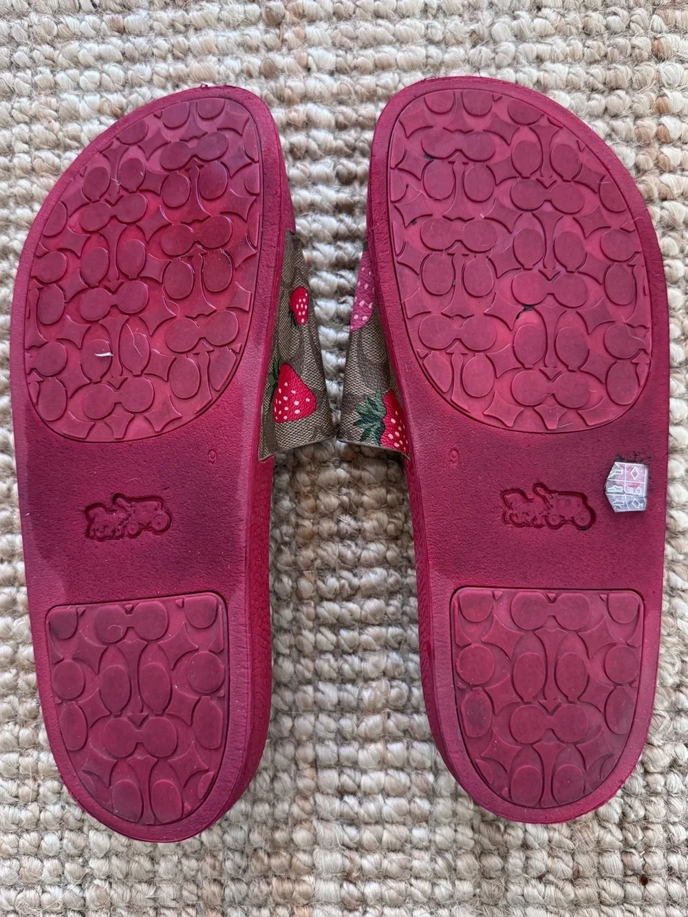 Coach Uli Sport Slide with Wild Strawberry Print